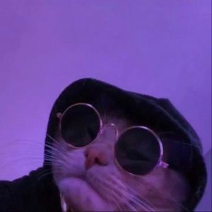 Meet your Posher, Kylee